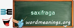 WordMeaning blackboard for saxifraga